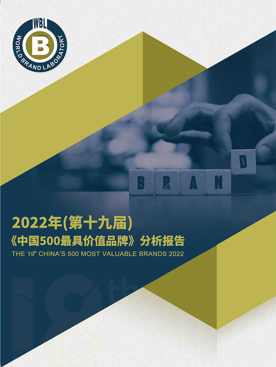 2022年中国500最具价值品牌分析报告.jpg